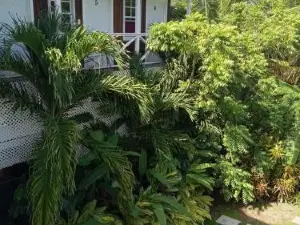 Apartment Unforgetable Gardens