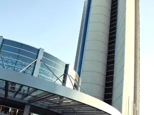 Hilton Mendoza