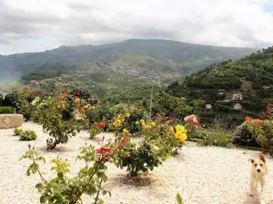 Casa Nova Agroturismo