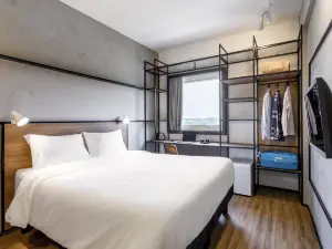 Ibis Aruja