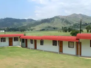 แอฟริกัน ไวโอเล็ต