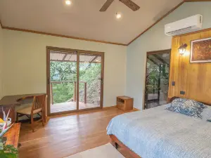 Los Vivos Beachfront Experience