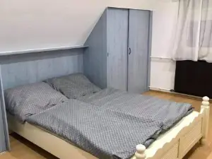 Zsuzsi Vendeghaz Visz