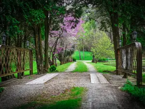 We are a quiet ranch home that sits on 8 acres with firepit, pond and bar.