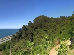 Yesil Vadi Apart Otel