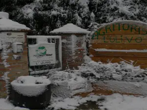 Agriturismo l' Ulivo