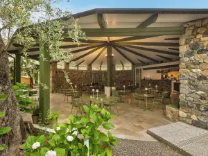 Glamping Degli Ulivi