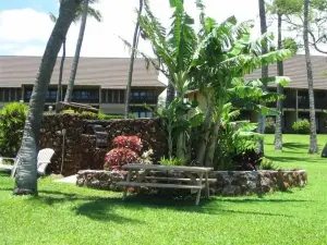 Peaceful retreat, ocean view, desired 2nd floor, WIFI