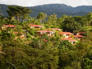 Hotel Cerro Lodge