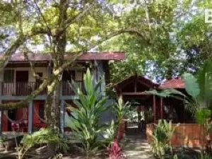 Gecko de Tortuguero