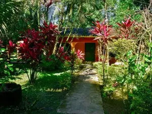 Cesar's Tropical Hotel