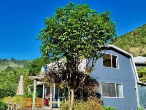 Pukenui Paradise - Havelock Holiday Home
