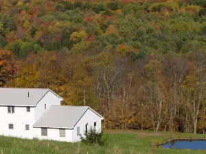 The Farmhouse, where peace and quiet awaits