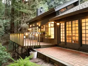 Enchanting Cottage Retreat in Redwood Paradise - Cozy and Serene Escape