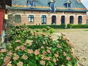 パラドノフ ゲストハウス