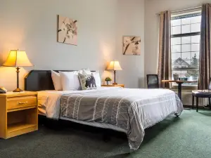 Mountain View Inn