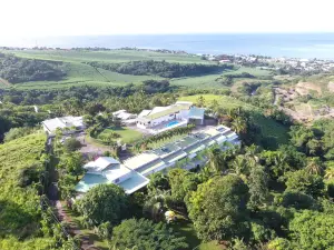 Résidence Paradis Tropical