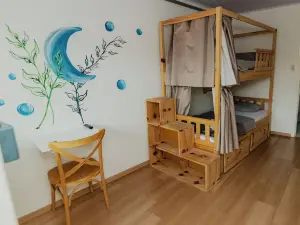 Araucária Hostel e Pousada