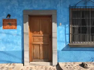 藍鬣蜥青年旅社