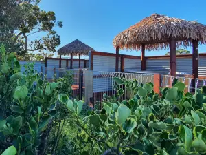Carters Beach Top 10 Holiday Park