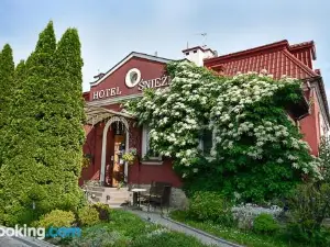 Śnieżka