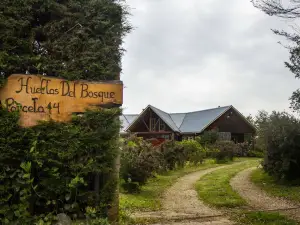 Ecohostal Huellas Del Bosque