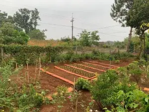 Phuong Nam Gia Trang Farmstay