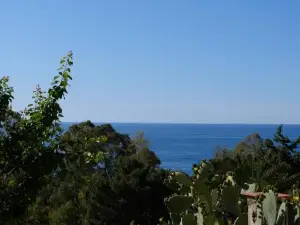 Rosalia's Apartments