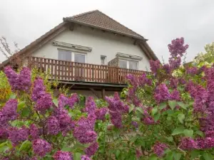 Strandhaus Malchow