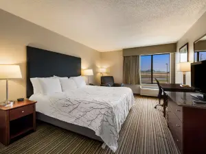Best Western Park Oasis Inn