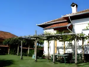Grandpa House