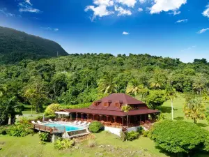 Jardin Malanga