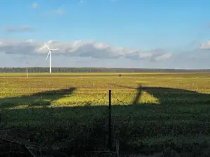 Mühlenurlaub Südheide