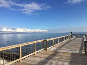 Waterfront on Delaware Bay NJ