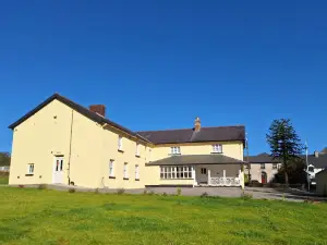 The Monkey Puzzle