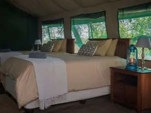 Nkwe Safari Lodge