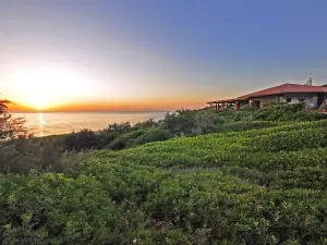 科爾薩羅尼祿酒店