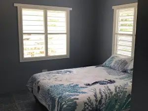 Tradewinds- quiet home overlooking the ocean