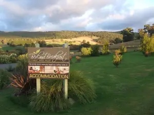 Forrest River Valley B&B