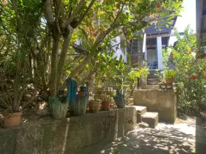 Island Home