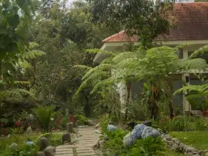 Ara Garden Inn, Accommodation, Yoga Studio & Spa