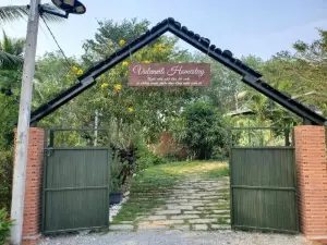 VulunVili Homestay