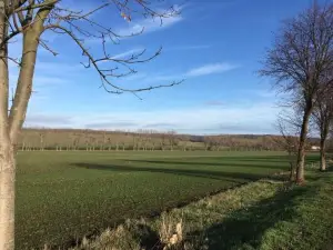 Gästehaus am Wald Oschersleben