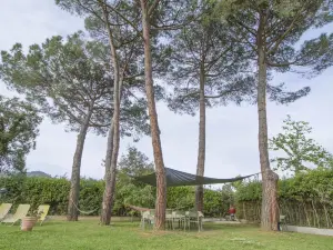 B&B Palazzi