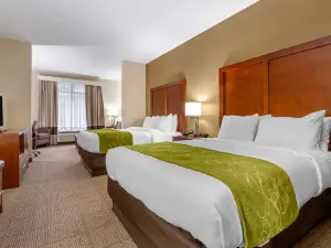 คอมฟอร์ตสวีทส์ บูน - ย่านมหาวิทยาลัย