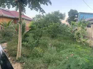 Scarlett Resorts at Laganas