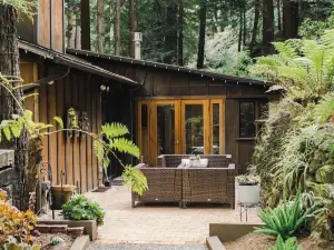 Cabin Nestled in Forested Canyon