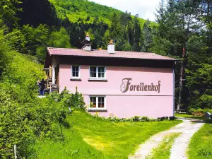 Apartment in Alsace with Nature Retreat