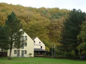 ลันด์โฮเทล บวร์กคาร์ทสมือห์เลอ