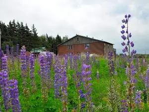 Powley's Wild Goose Lodge